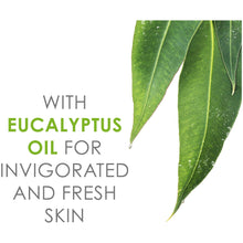 Load image into Gallery viewer, Noxzema Facial Cleanser Moisturizing Cream, 12 oz