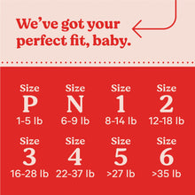 Load image into Gallery viewer, Huggies Little Snugglers Baby Diapers, Size 1, 32 Count