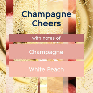 Glade Automatic Spray, Champagne Cheers 6.2 Oz