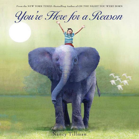 You're Here For A Reason by Nancy Tillman - Boardbook